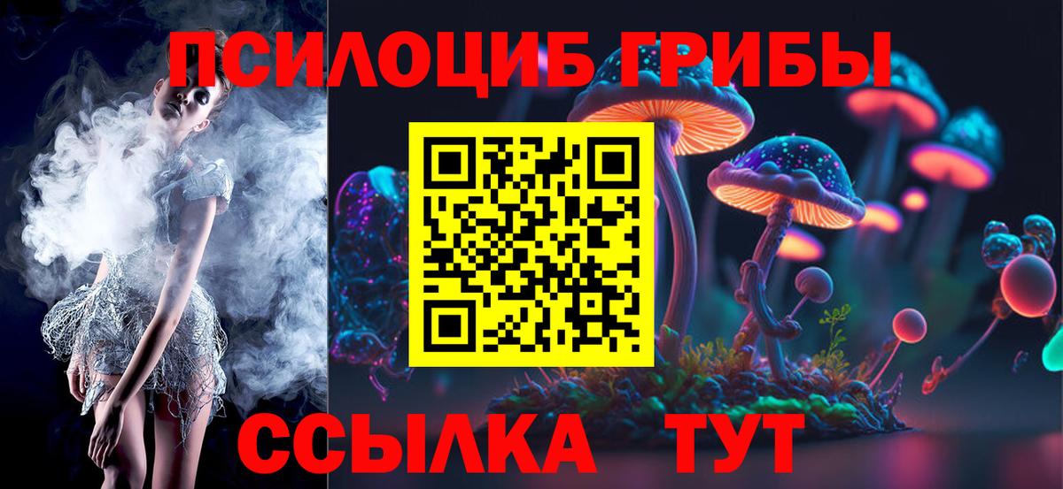 Галлюциногенные грибы Psilocybine cubensis  Псилоцибиновые грибы мухоморы  Ульяновск  Вход с VPN 